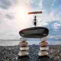 高‌级‍网‌站‌审​计‌服‌务‌